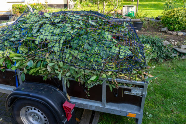 Best Hoarding Cleanup  in Lancaster, KY